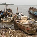 Nigerian fish traders suffer as power supply impacts business