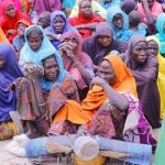 Nigeria, UN seek US$306 million for urgent food, nutrition crisis response